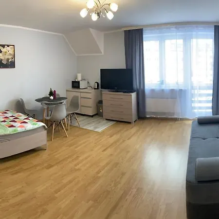 Apartamenty Pod Lwami Kudowa Zdroj Exterior photo