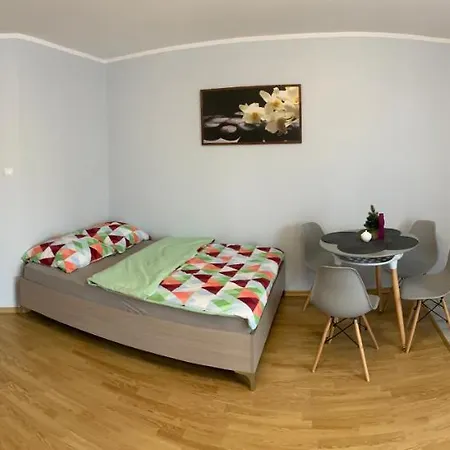 Apartamenty Pod Lwami Kudowa Zdroj Exterior photo