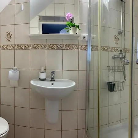 Apartamenty Pod Lwami Kudowa Zdroj Exterior photo