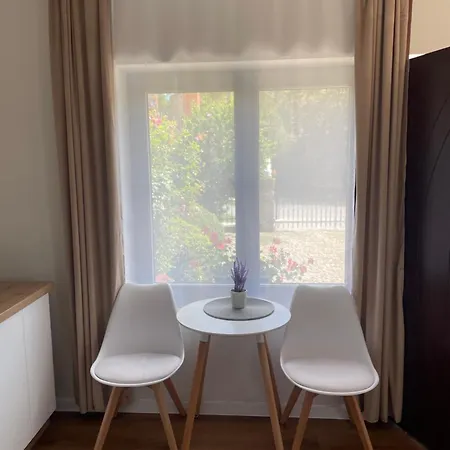 Apartamenty Pod Lwami Kudowa Zdroj Exterior photo