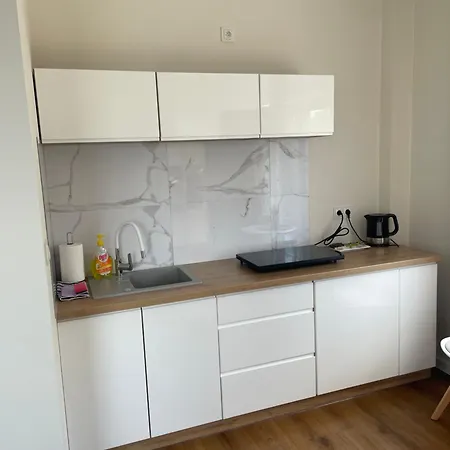 Apartamenty Pod Lwami Kudowa Zdroj Exterior photo