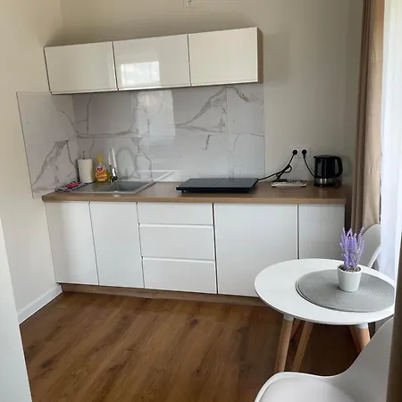 Apartamenty Pod Lwami Kudowa Zdroj Exterior photo
