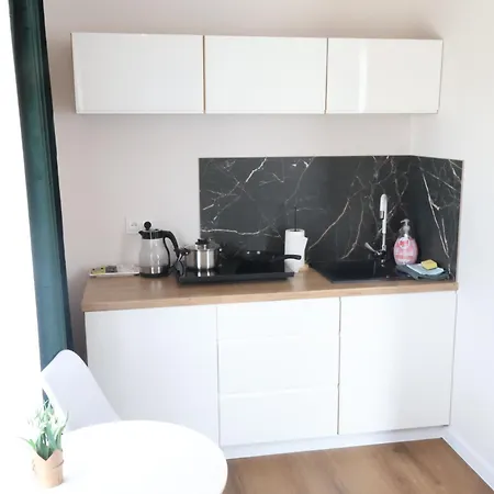 Apartamenty Pod Lwami Kudowa Zdroj Exterior photo